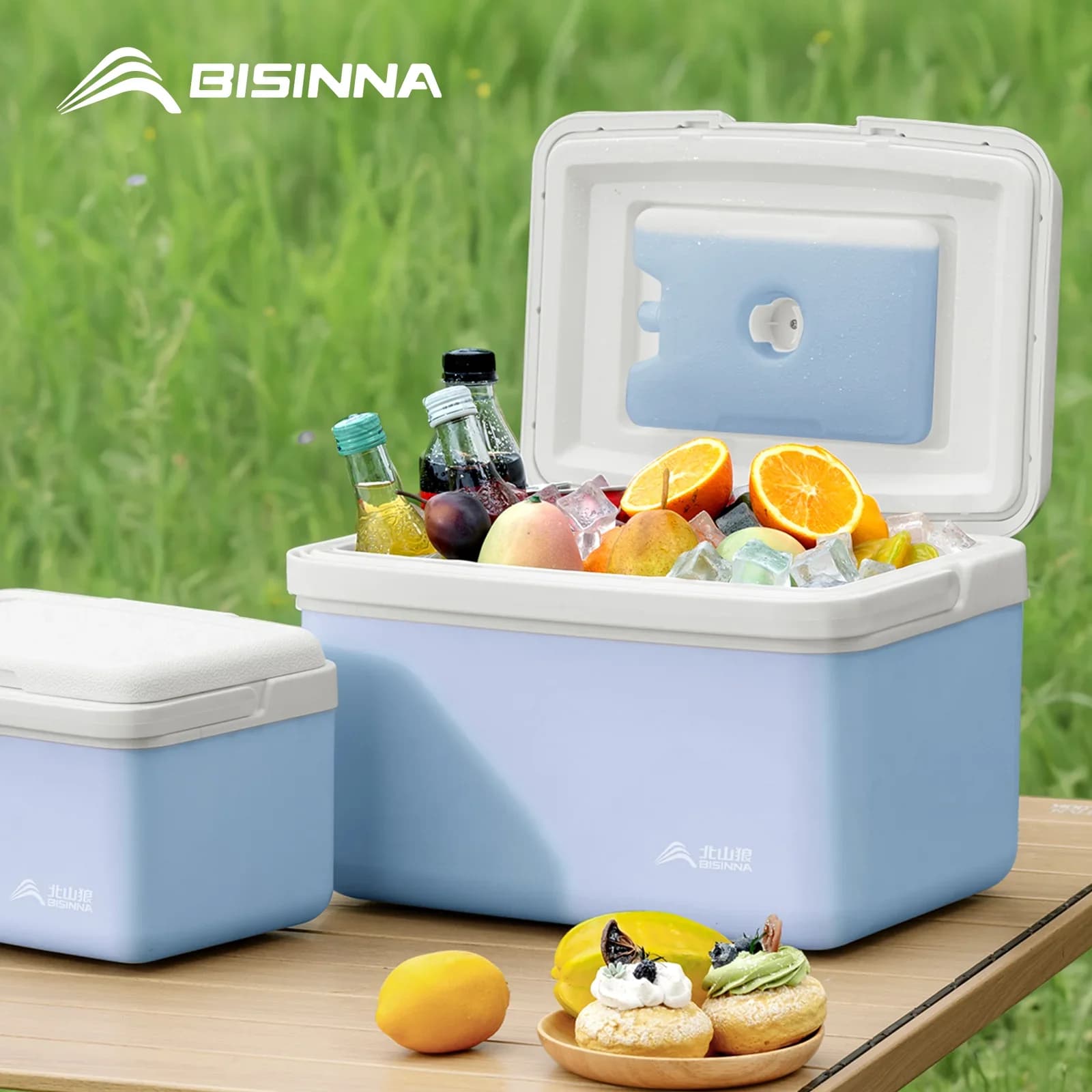 BISINNA Kjøleboks for camping 6L/9L/15L Bærbar kjølebag for bil, fiske og piknik