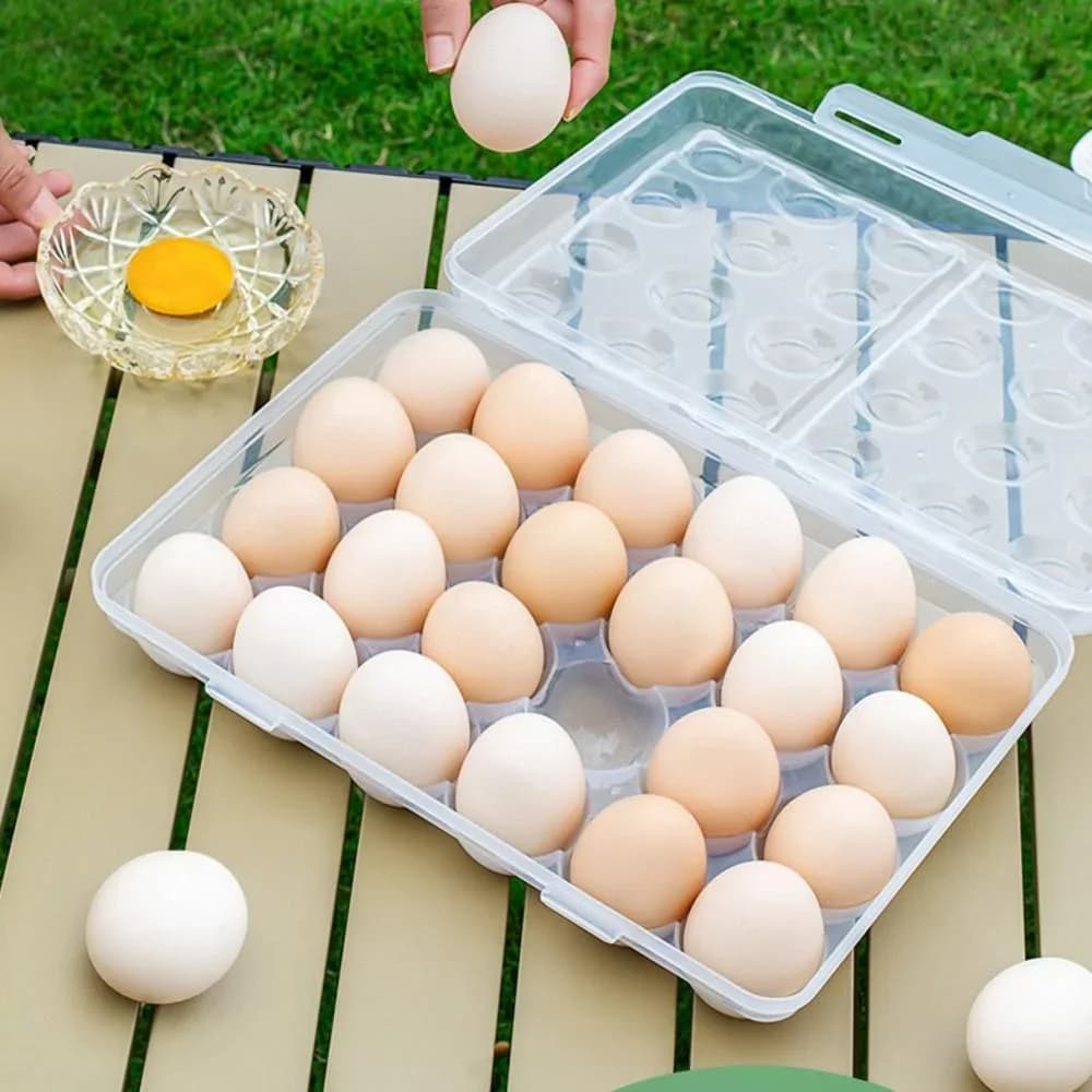 Eggboks i plast med lokk for kjøleskap og tur